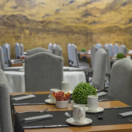Sercotel President 4*